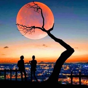 Meet your Posher, Tonja